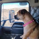 Christopher H. Mclain - @mclain519 - Instagram