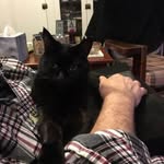 Christopher McLain - @mclain.christopher - Instagram