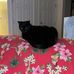 Chris McVicker - Facebook