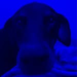 Christopher Milliken - @christopher_milliken - Instagram