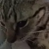 Christopher Moncada - @christopher.monca1 - TikTok