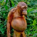 Christopher Monk - @monksta666 - Instagram
