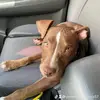 Christopher Mora - @christopher.mora57 - TikTok
