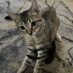 Christopher Moreno - @christophermoreno655 - Instagram