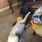 Christopher Morrison - @christopher.morrison.1253 - Instagram