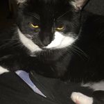 Christopher Morton - @christophermorton46 - Instagram