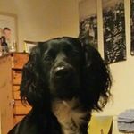 Christopher Muir - @muirchristopher - Instagram
