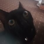Christopher muir - @christopher_muir_smokey - Instagram