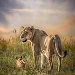 Christopher Muiruri - @christopher.muiruri - Instagram