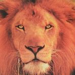 Christopher Muldoon - Facebook