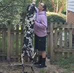 Christopher Murphy - Facebook