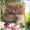 Christopher Myles665 - @christophermyles63 - TikTok