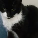 Chris Nardi - @christopher.nardi.5 - Instagram