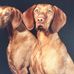 Christopher Neller - Facebook
