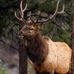 Chris Neufeld - Facebook