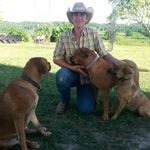 Christopher  Neufeld - @cowboy_neufeld - Instagram