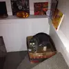 Christopher Noonan - @christopher.noona5 - TikTok