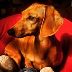 Christopher Nunn - Facebook