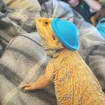 Christopher nunn - @rlchrismydudes333 - Instagram