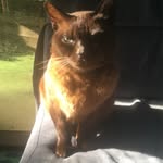 Christopher Nunn - @christophernunns - Instagram