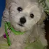 Christopher Ojeda - @christopher.ojeda80 - TikTok