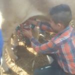 Christopher Ojeda Guzman - @christopherojedaguzman - Instagram