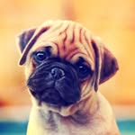 Christopher Olson - @christopherolson70 - Instagram