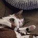 Christopher Oswald - Facebook