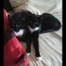 Christopher Otto - Facebook