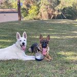 Christopher Padgett - @christopherpadgett5 - Instagram