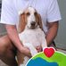 Christopher Paik - Facebook