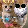 christopherpastor5 - @christopherpastor5 - TikTok