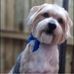 Christopher Pence - Facebook
