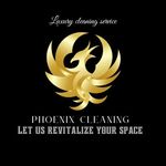 Christopher Phoenix - @phoenixluxcleaning - Instagram