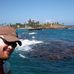 Christopher Pickens - Facebook