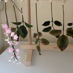 Christopher Pickering - @cakebakeandpops - Instagram