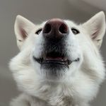 Chris七▽pher 囧 Pickles - @christopherpickles - Instagram