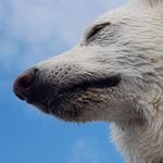 Christopher John Pickles - @christopher.j.pickles - Instagram