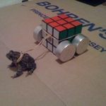 Christopher Pickle - @123xytree - Instagram