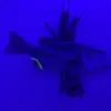 christopher.pierron - @gameclips255 - TikTok