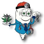 Christopher Piessens - @drbudzsd - Instagram