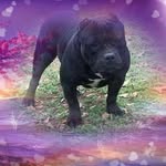 Bernard Jordan - @christopherpilcher7 - Instagram