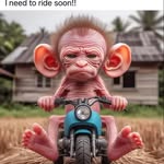 Christopher Pilcher - @pilche25 - Instagram