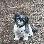 Christopher Pilcher - @pilcher.c - Instagram