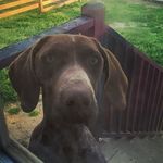 Christopher pileggi - @pileggi.christopher - Instagram