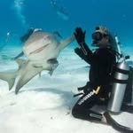 Christopher Pillay - @christopher.pillay93 - Instagram
