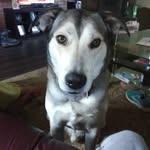 Christopher Pindell - @christopherpindell67 - Instagram