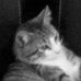 Chris Pines - Facebook