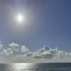 Christopher Poe - @cutshapestyle - TikTok
