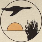 Christopher Polk - @polk_pattern_calls - Instagram